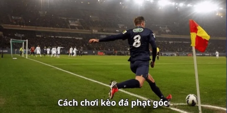 Cách Chơi Kèo Phạt Góc Bóng Đá Tại NowGoal Chuẩn Xác Nhất