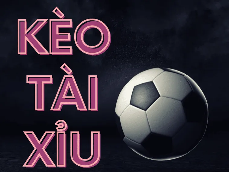 Cách Chơi Kèo Tài Xỉu Tại NowGoal: Bí Quyết Đọc Vị Nhà Cái