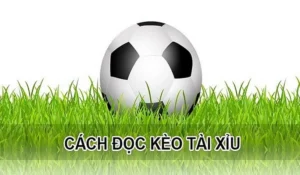 Cách Chơi Kèo Tài Xỉu Tại NowGoal: Bí Quyết Đọc Vị Nhà Cái