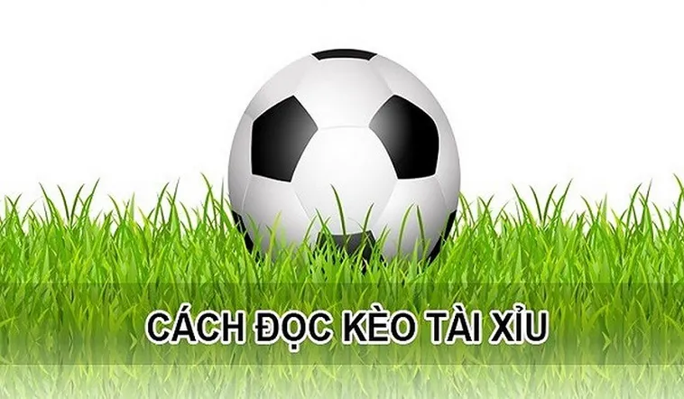 Cách Chơi Kèo Tài Xỉu Tại NowGoal: Bí Quyết Đọc Vị Nhà Cái