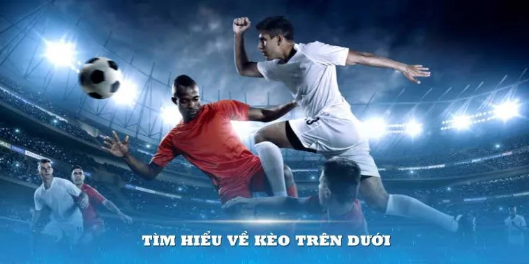 Bí Quyết Chơi Kèo Trên Kèo Dưới Tại NowGoal Dành Cho Người Mới Bắt Đầu