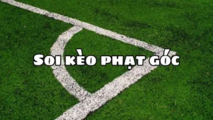 Cách Chơi Kèo Phạt Góc Bóng Đá Tại NowGoal Chuẩn Xác Nhất