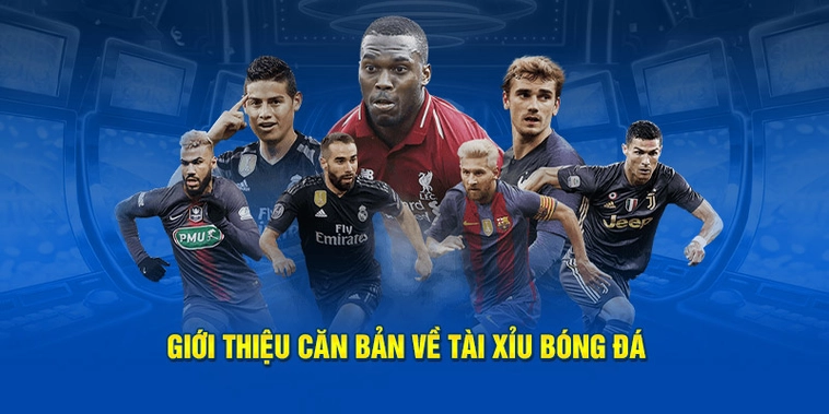 Bí Kíp Chơi Kèo Tài Xỉu Bóng Đá Tại NowGoal Đỉnh Cao Nhất