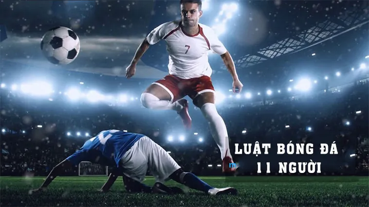 Số Lượng Cầu Thủ Bóng Đá Theo Quy Định Chuẩn FIFA